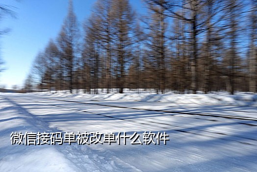 qq美国接码处号