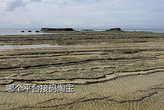 line注册接码平台