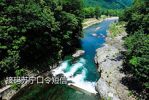 2021年淘宝接码平台