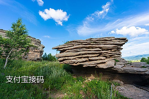 知乎美国号api接码