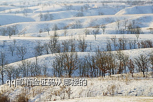 知乎电话接码是什么意思