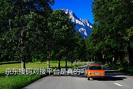 日本号码接码器收短信是真的吗