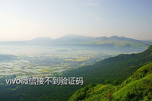 支持淘宝接码