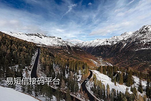 全新美国号api接码qq批发