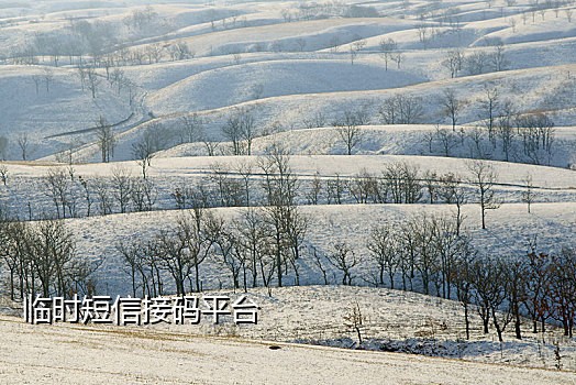 在线接短信验证码平台