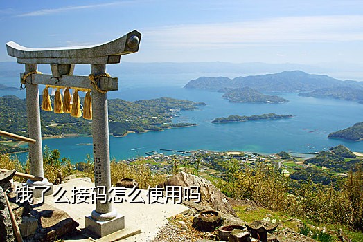 在线短信云接码