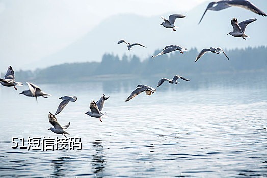 云短信接码平台