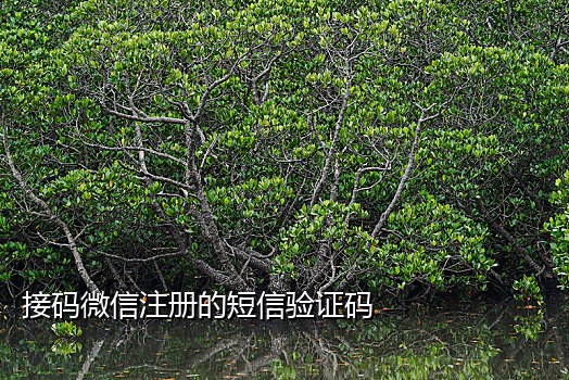 游戏接码短信平台是真的吗