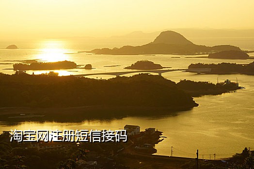 用虚拟号接抖音验证码安全吗