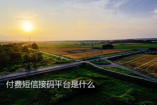 夜神接码短信平台是什么