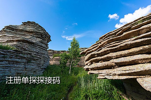 亚马逊接几个验证码会被盗