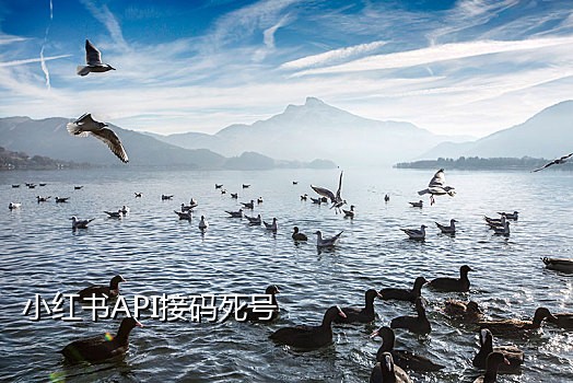 心遇接码有问题吗
