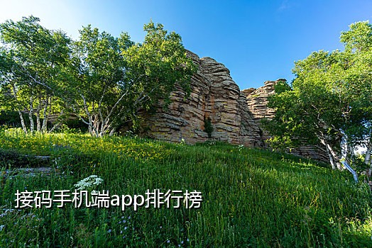 微信注册接码软件有哪些免费