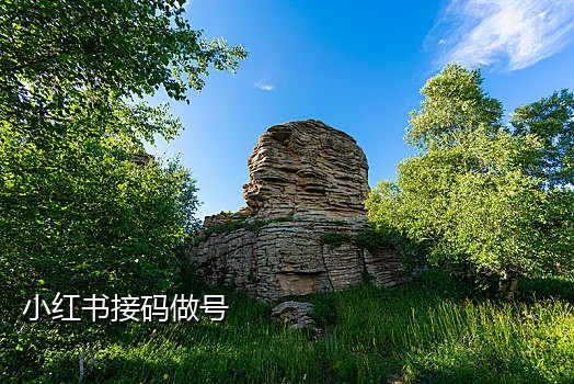 微信怎么申请接码收款