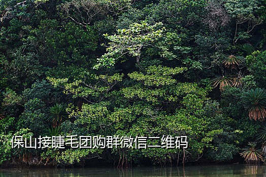 微信扫码接屏保