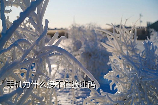 微信扫二维码接不了验证码