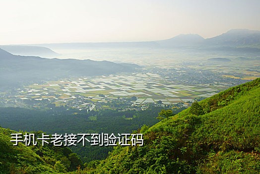 微信接码网站