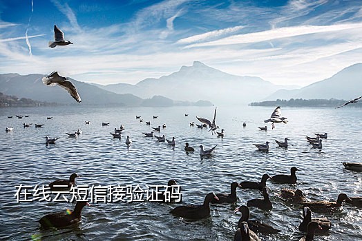 苹果手机短信接码app