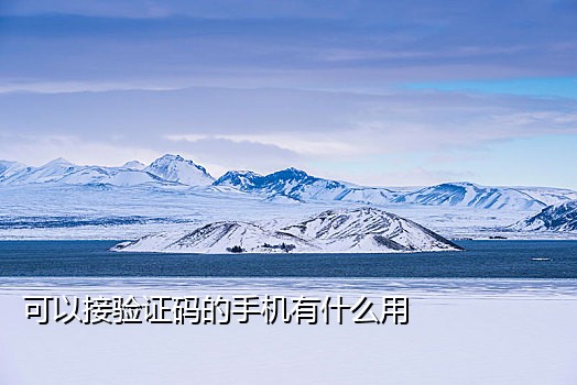 微信接码被抓会怎么样