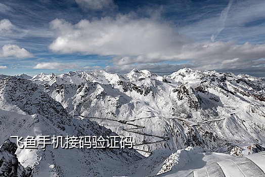 微博dlyz接码