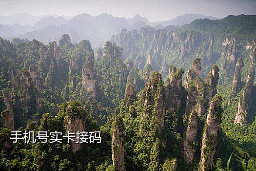 网易云音乐接码项目