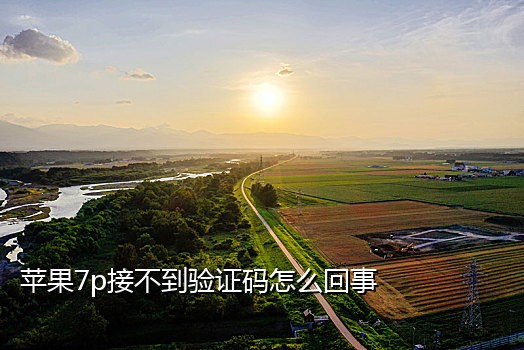 淘宝注册店铺接码器