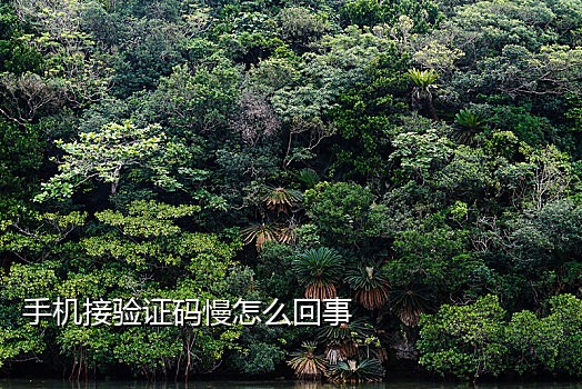 手机哪个接码平台好