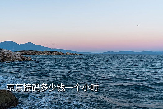 手机卡不插上怎么接码