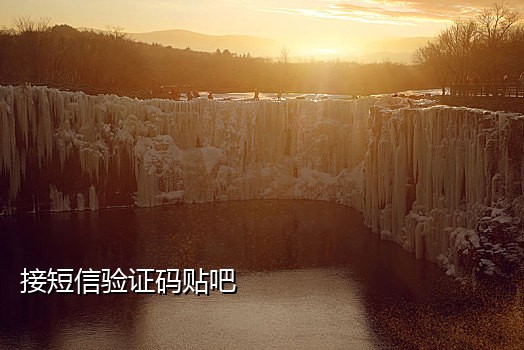 手机接外卖平台验证码