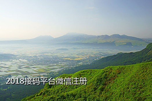 手机接码有风险吗