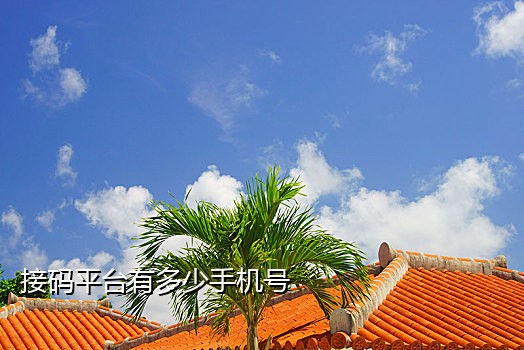手机接码验证网页版安全吗