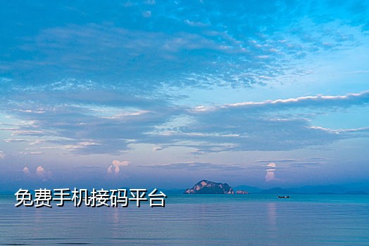 手机接码群