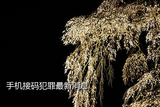 手机接码平台有什么用途和功能