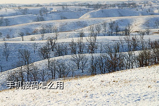 手机接码骗局套路