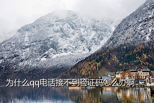 手机接不了验证码什么情况