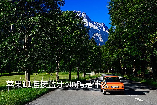 拼多多手机号接码器