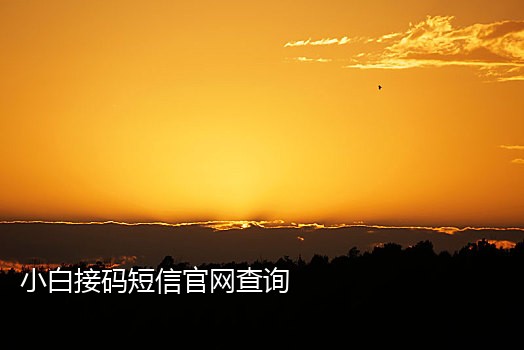 拼多多接码小号