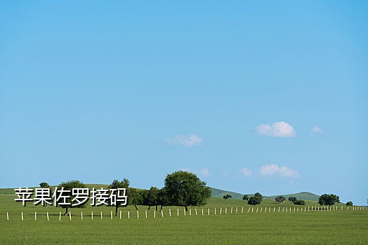 手机短租接码最新版