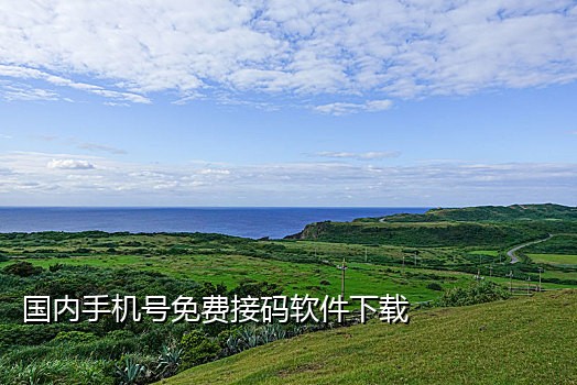 收费国内短信接码