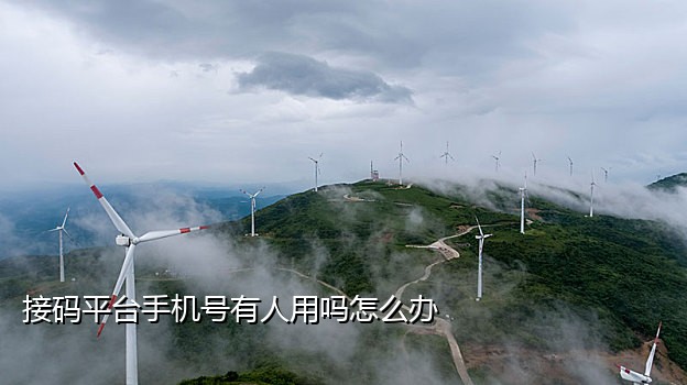 神话接码平台手机版注册