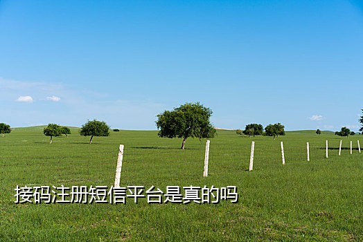神话接码发送短信