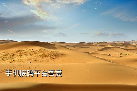 谁有soul接码渠道