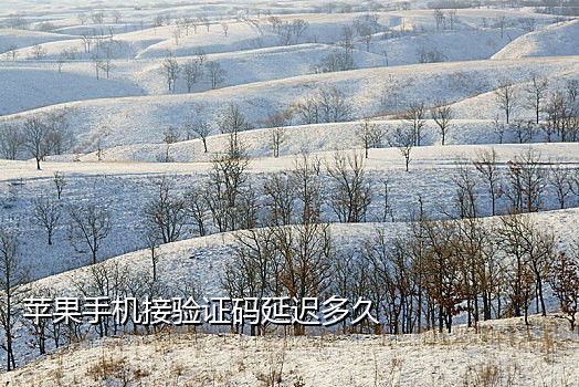 苹果接码是什么意思