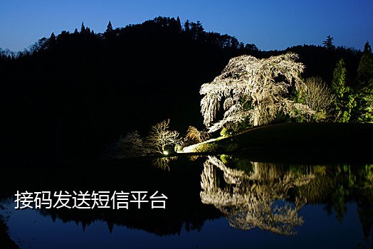 能做微信注册的接码平台吗