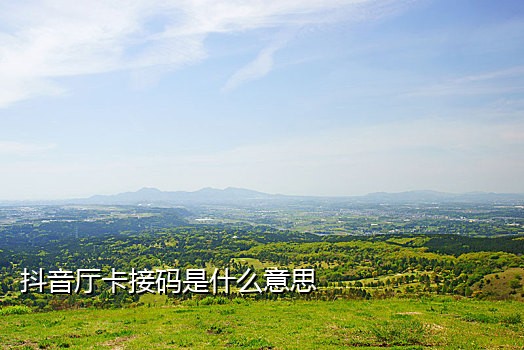 苹果短信接不到验证码怎么回事