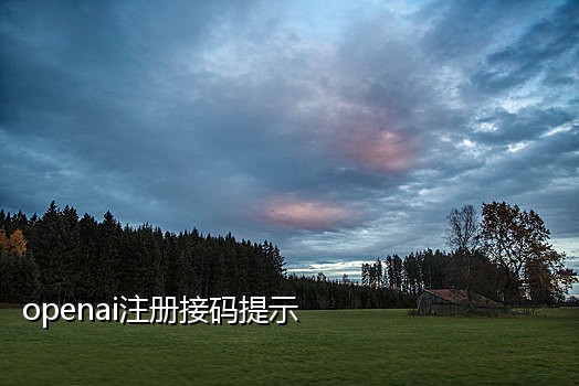 拼多多接码怎么用