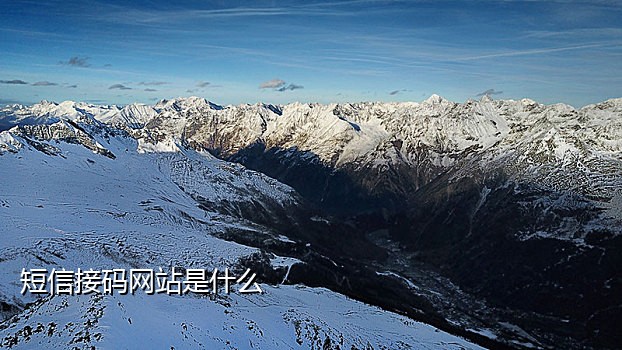 拼多多接码软件哪个好用