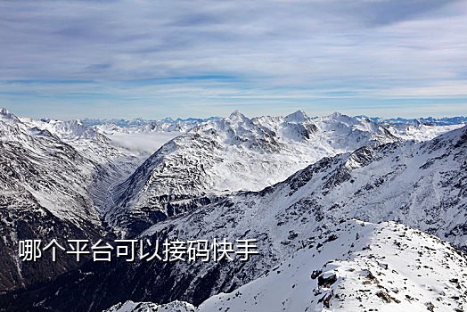 批量注册短信接码