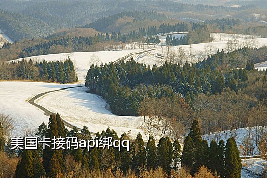 哪个平台接码有注册微信