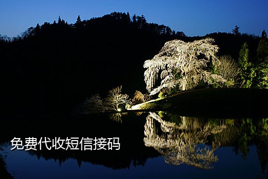 陌陌接码是什么